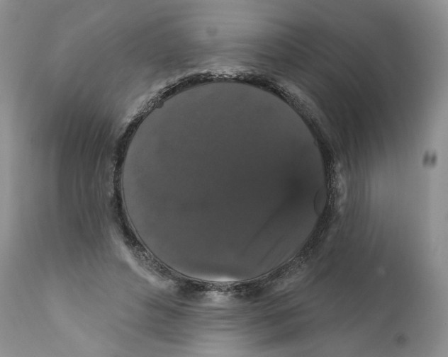 X0000111910496200908241030