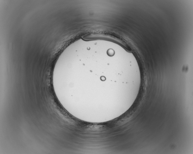 X0000111910497200908241030