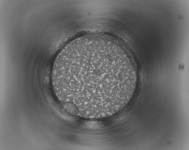 X0000111910499200908241030
