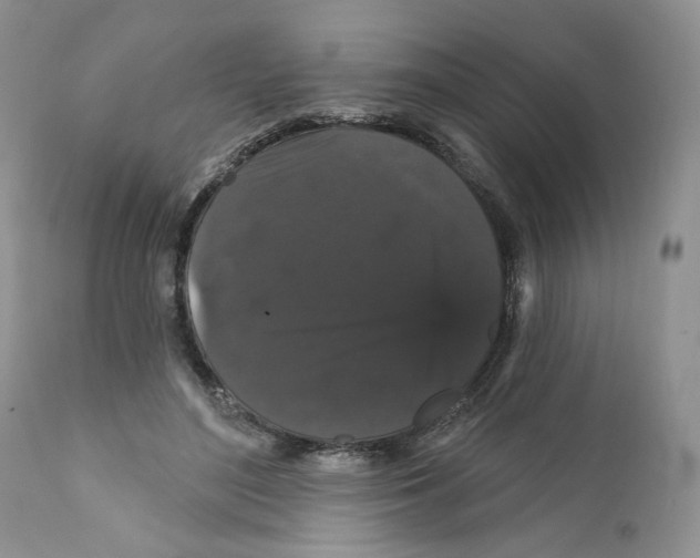 X0000111910500200908241030