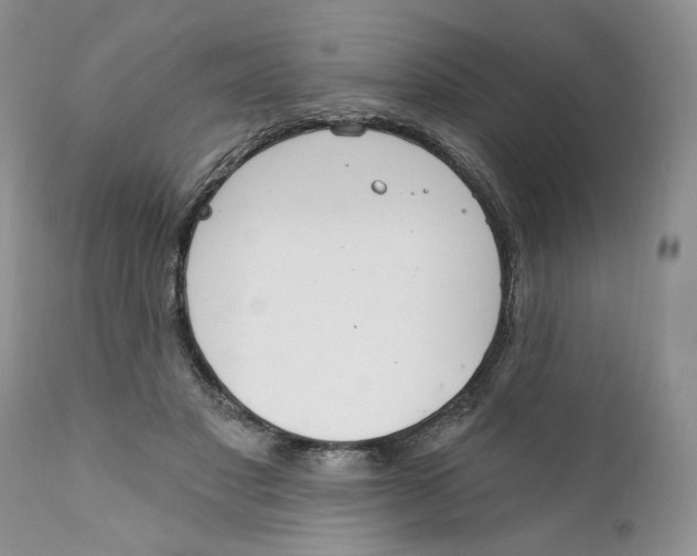 X0000111910501200908241030