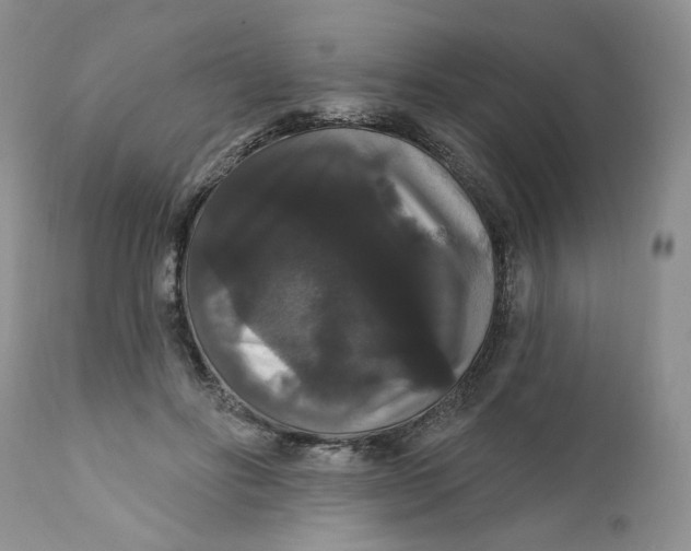 X0000111910502200908241030