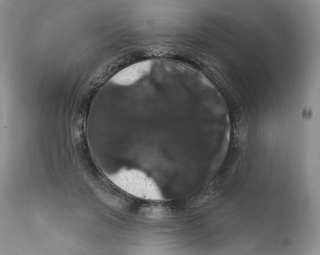 X0000111910503200908241030