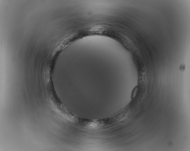 X0000111910504200908241030