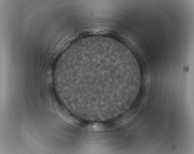 X0000111910506200908241030