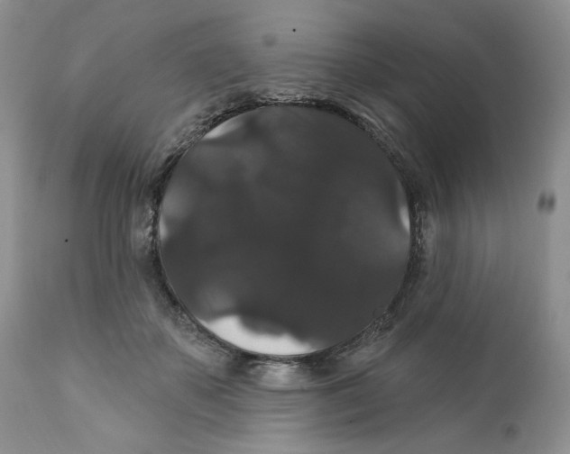 X0000111910507200908241030