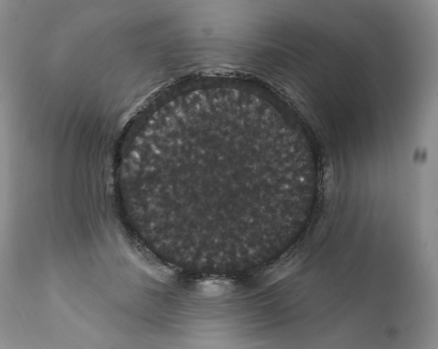 X0000111910508200908241030