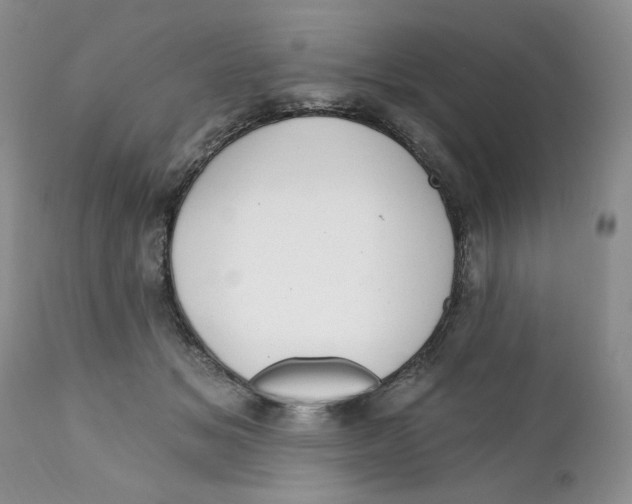 X0000111910509200908241030