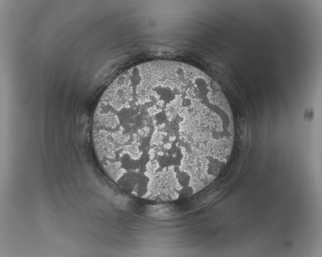 X0000111910511200908241030
