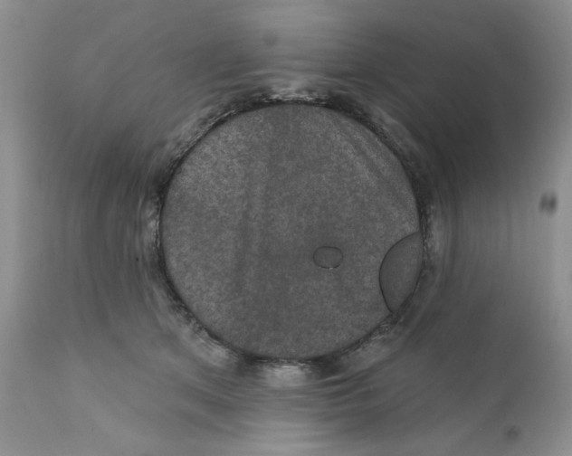 X0000111910513200908241030