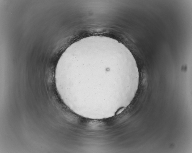 X0000111910515200908241030