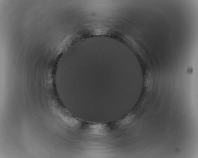 X0000111910516200908241030