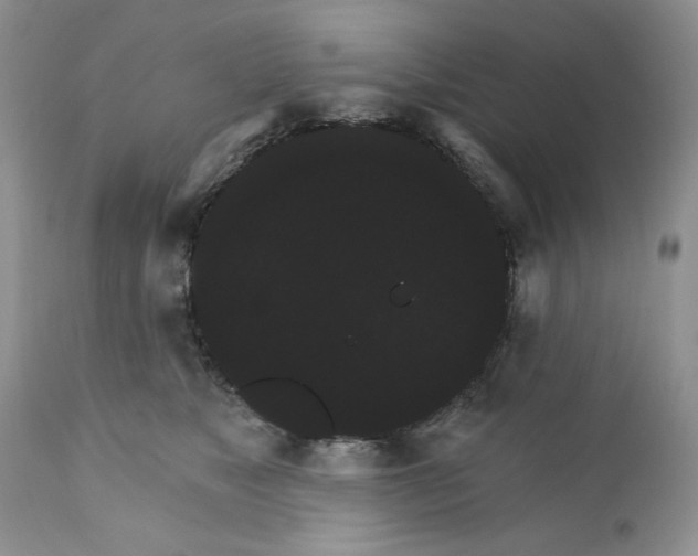 X0000111910517200908241030