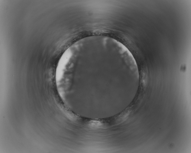 X0000111910519200908241030