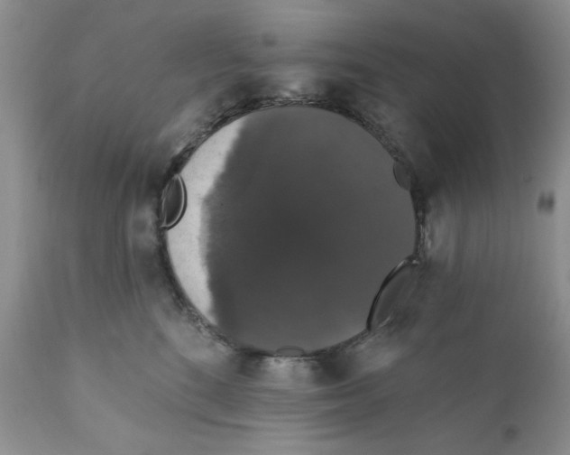X0000111910520200908241030