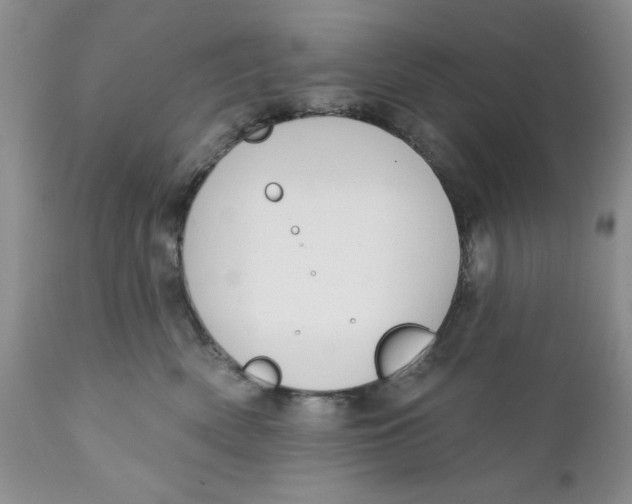 X0000111910522200908241030