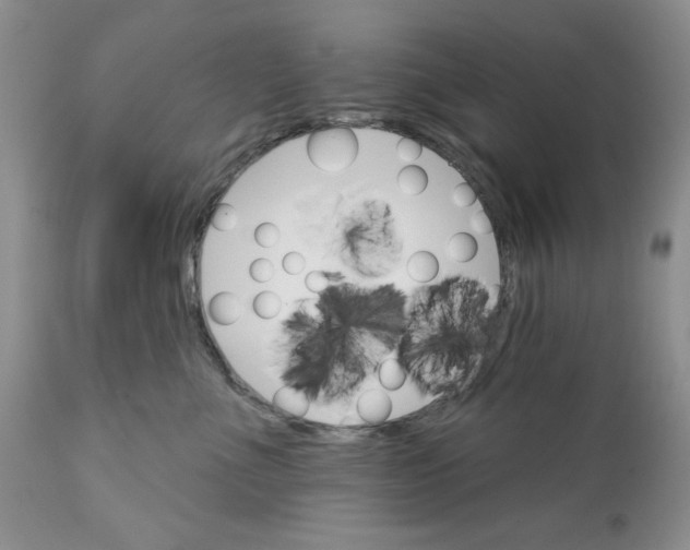 X0000111910523200908241030