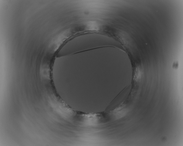 X0000111910524200908241030