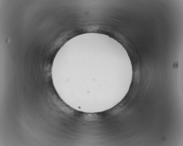 X0000111910525200908241030