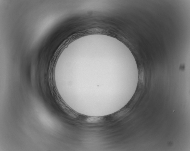 X0000111910526200908241029