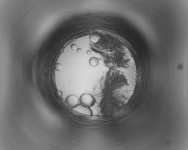X0000111910527200908241029