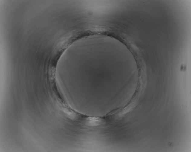 X0000111910528200908241029