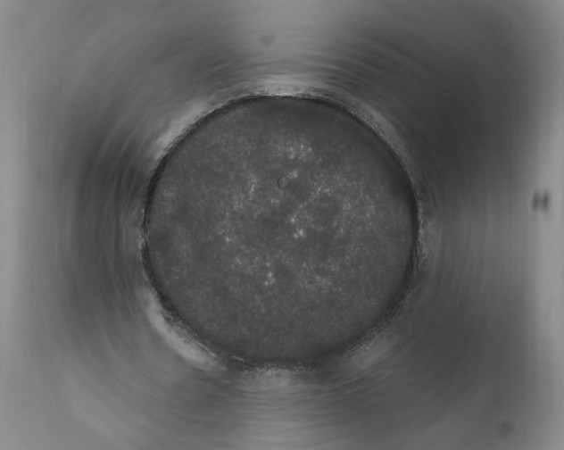 X0000111910530200908241029