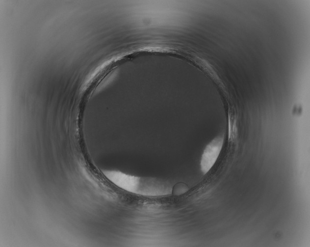 X0000111910531200908241029