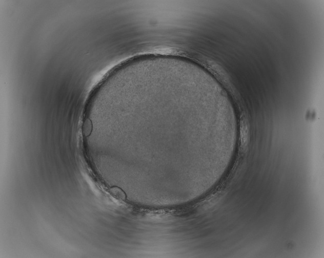 X0000111910532200908241029