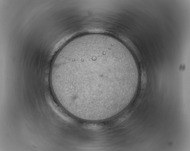 X0000111910533200908241029