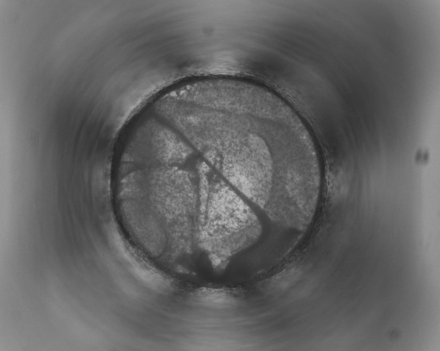 X0000111910534200908241029