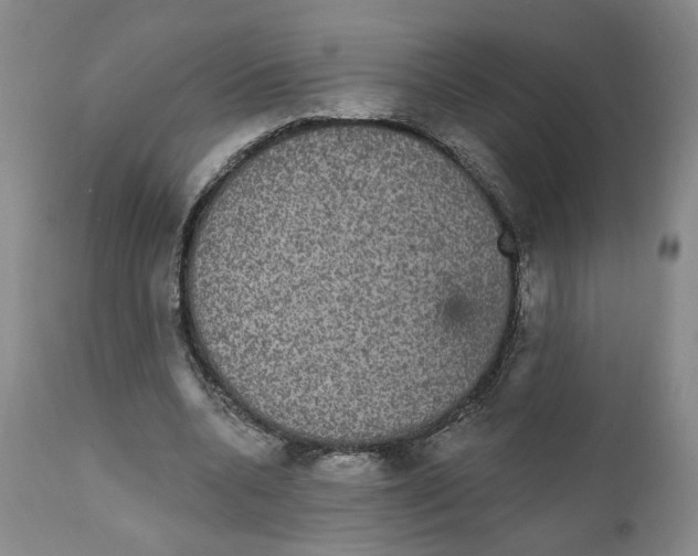 X0000111910536200908241029