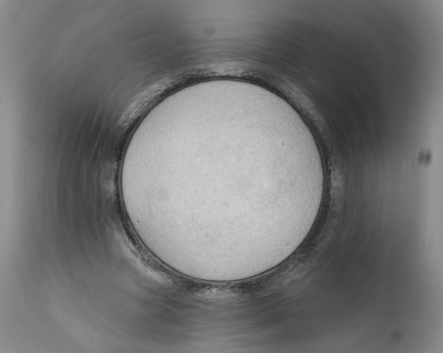 X0000111910537200908241029