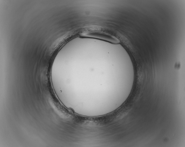 X0000111910538200908241029