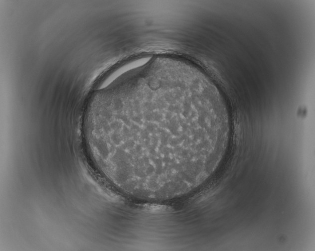 X0000111910539200908241029