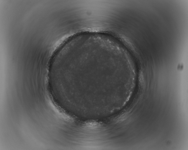 X0000111910540200908241029