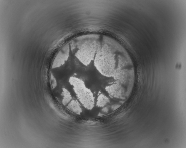 X0000111910542200908241029
