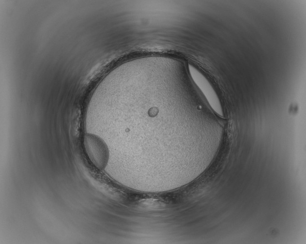 X0000111910544200908241029