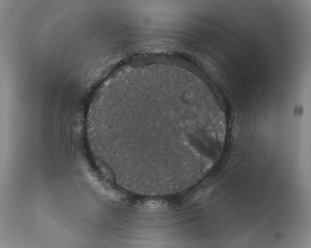 X0000111910546200908241029