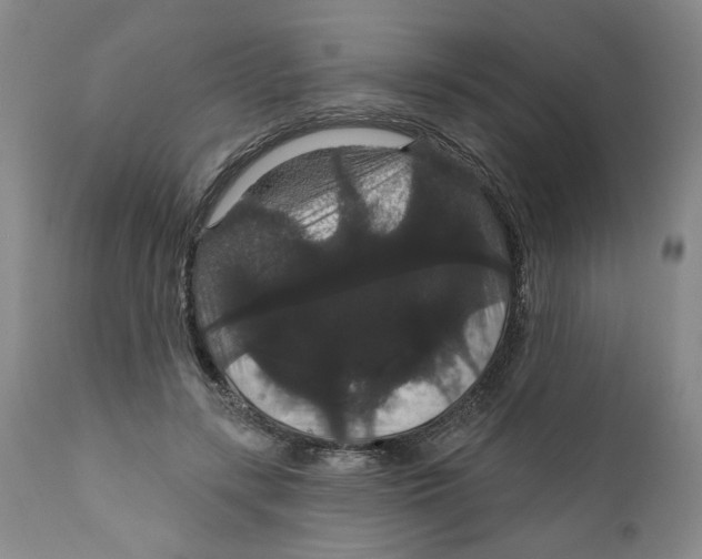 X0000111910547200908241029
