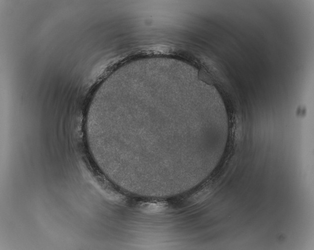 X0000111910548200908241029