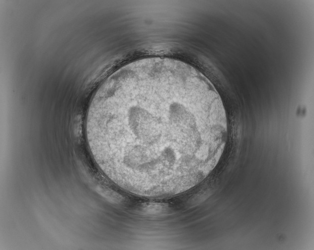 X0000111910549200908241029