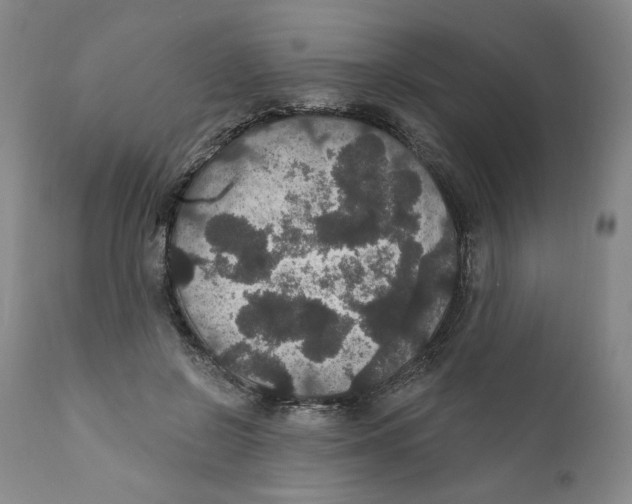 X0000111910550200908241029