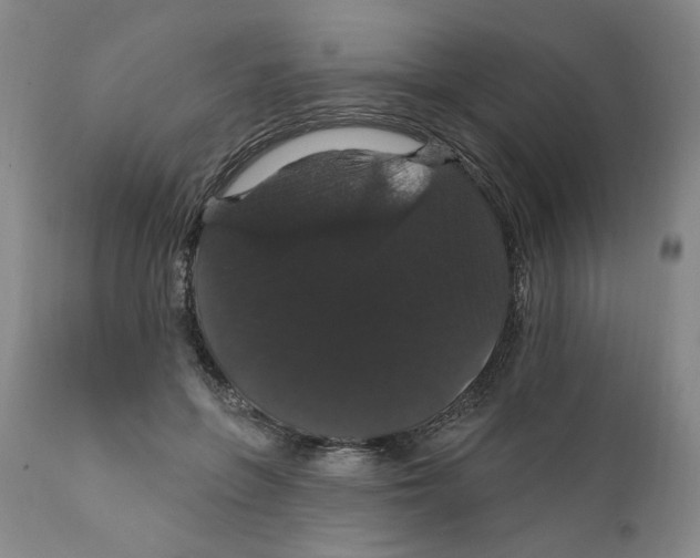 X0000111910551200908241029