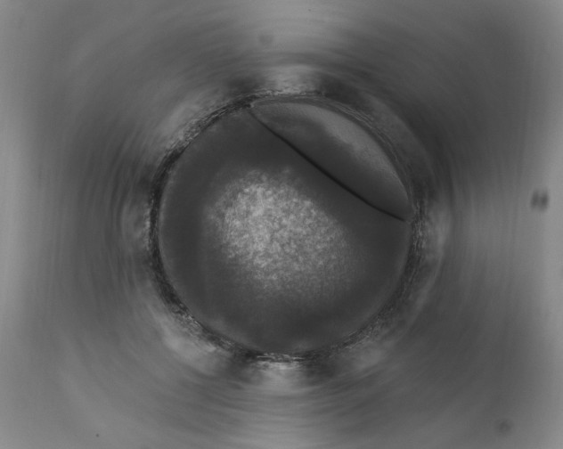 X0000111910552200908241029
