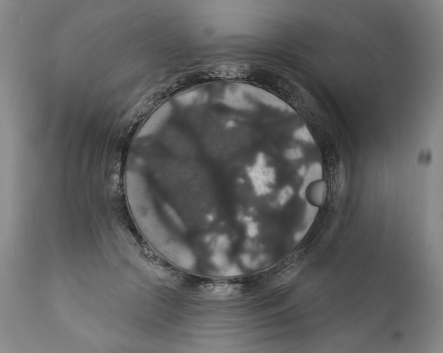 X0000111910553200908241029