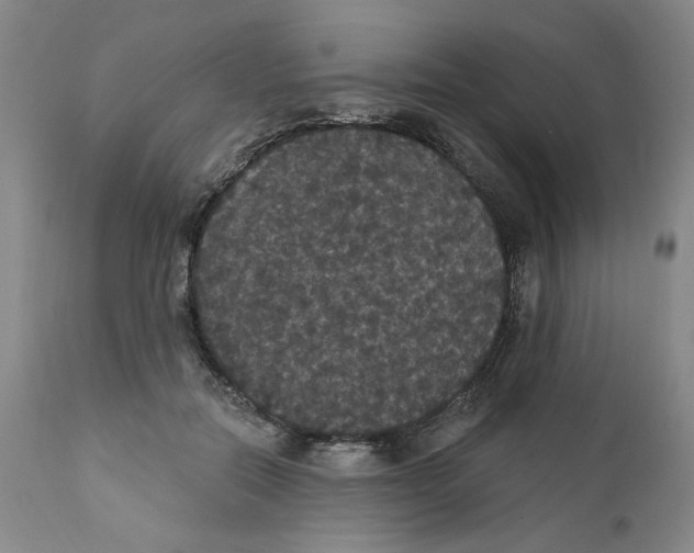 X0000111910554200908241029