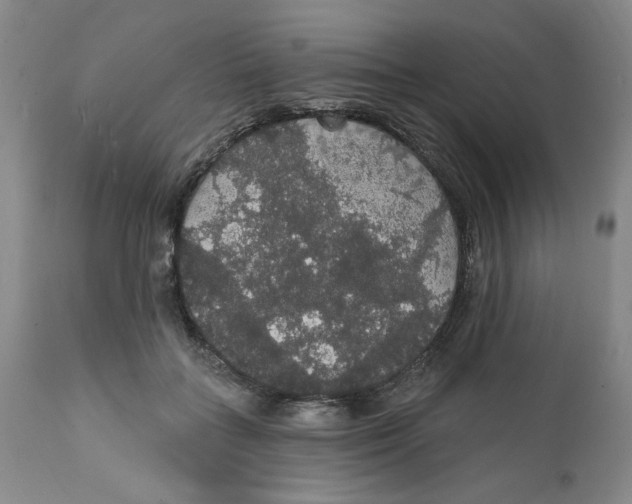 X0000111910555200908241029