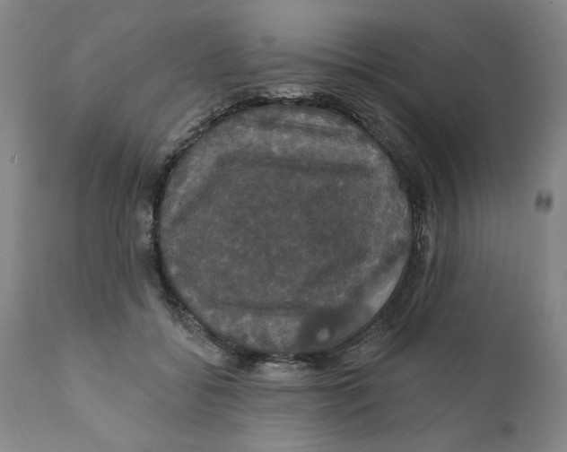 X0000111910556200908241029