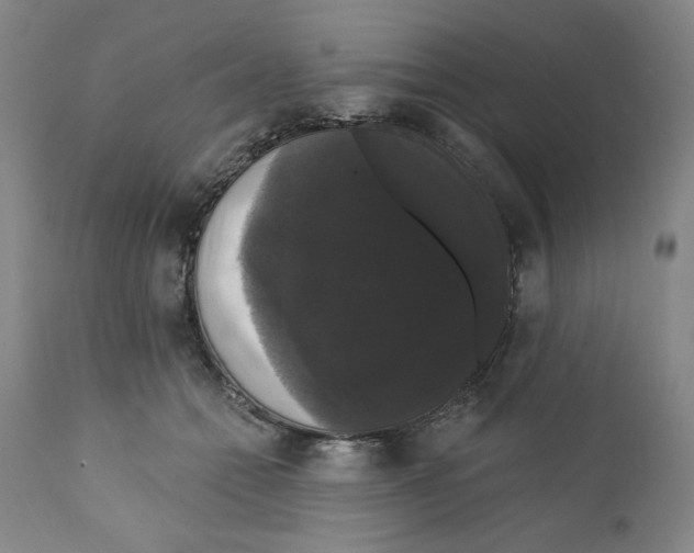 X0000111910558200908241029